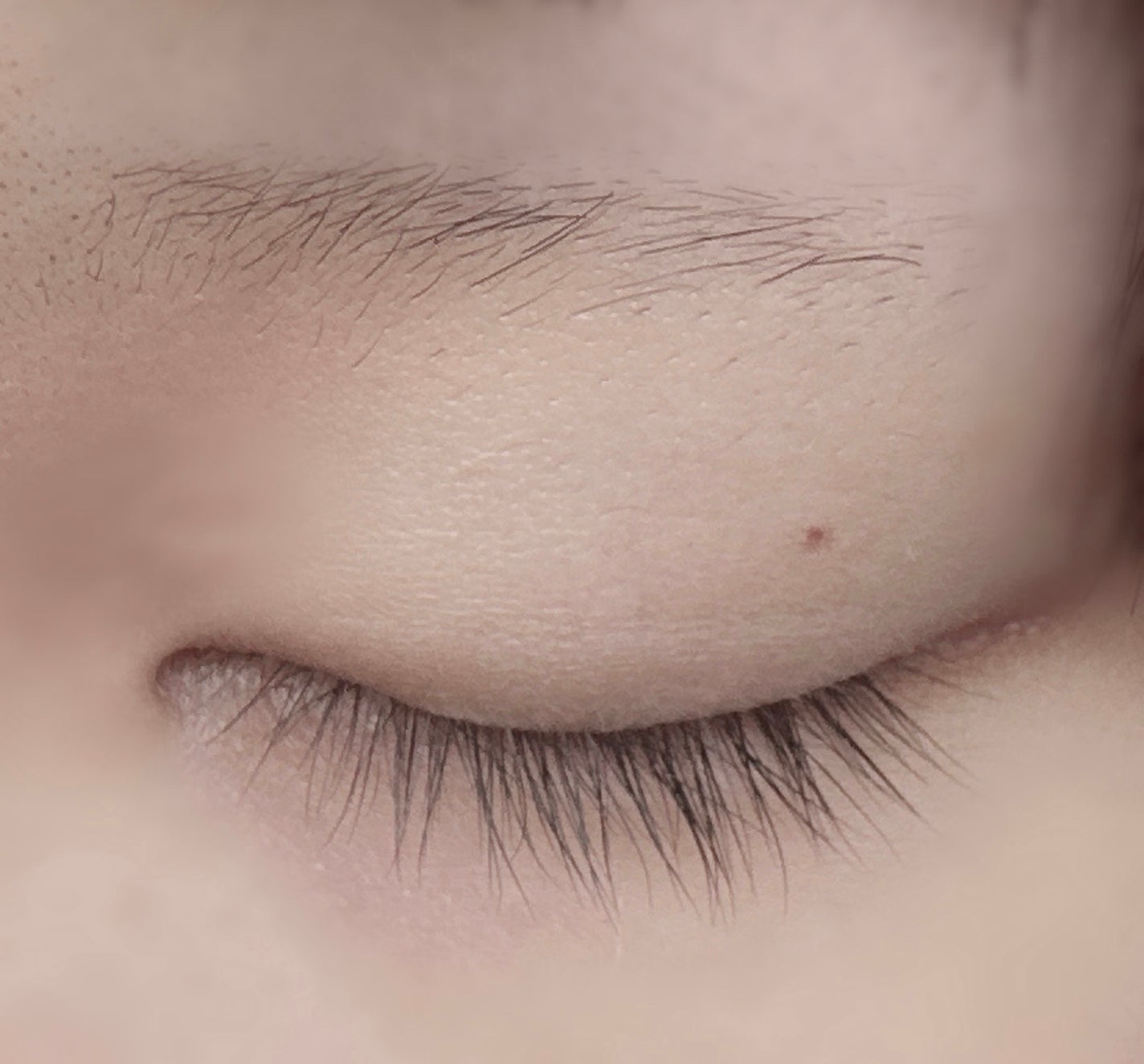 DHCアイラッシュトニック/DHC/まつげ美容液を使ったクチコミ(1枚目)