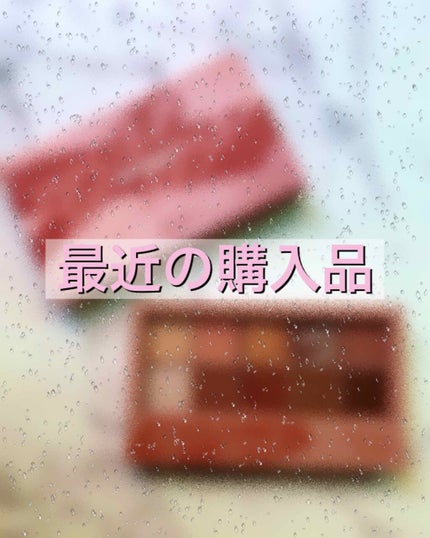 プロ アイ パレット/CLIO/アイシャドウパレットを使ったクチコミ(1枚目)