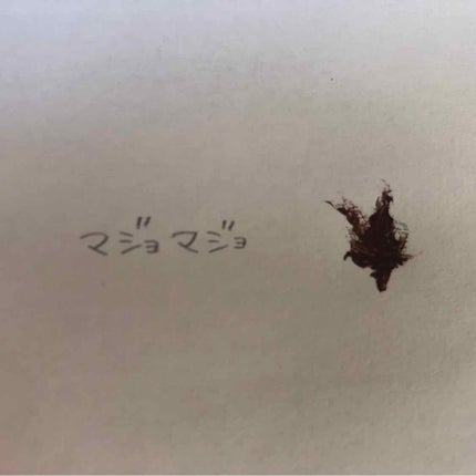 ラッシュエキスパンダー エッジマイスター F/MAJOLICA MAJORCA/マスカラを使ったクチコミ(4枚目)