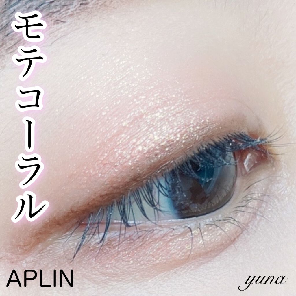 ワンピックアイシャドウパレット/APLIN/アイシャドウパレットを使ったクチコミ(1枚目)