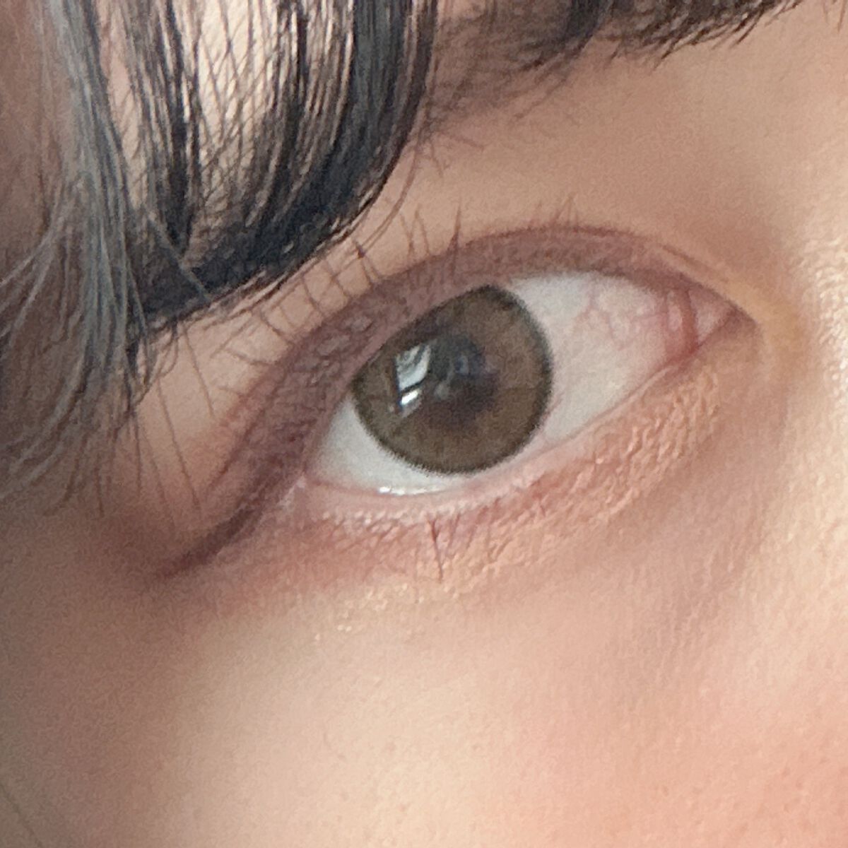 TOPARDS 1day/TOPARDS/ワンデー(1DAY)カラコンを使ったクチコミ(3枚目)