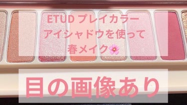 UR GLAM　POWDER EYESHADOW/U R GLAM/シングルアイシャドウを使ったクチコミ（1枚目）