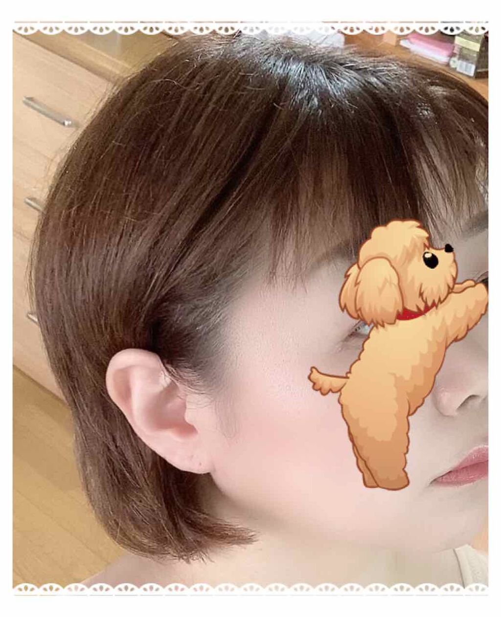 【旧品】パウダーチークス/キャンメイク/パウダーチークを使ったクチコミ（2枚目）