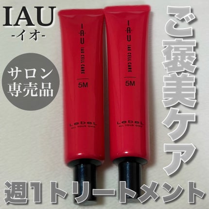 イオセルケア 5M/LebeL/洗い流すヘアトリートメントを使ったクチコミ(1枚目)