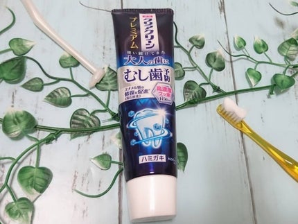 クリアクリーン プレミアム 歯質強化 (薬用ハミガキ)/クリアクリーン/歯磨き粉を使ったクチコミ(1枚目)