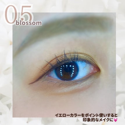 目元チュートリアルアイパレット/Colorgram/アイシャドウパレットを使ったクチコミ(4枚目)