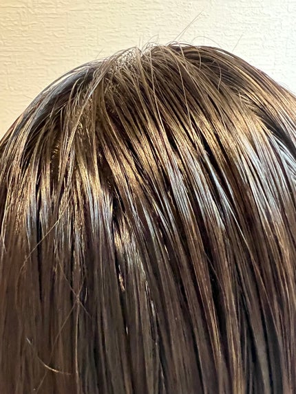 プルント モイストリッチ美容液シャンプー/モイストリッチリペア美容液トリートメント/Purunt./市販シャンプーを使ったクチコミ(2枚目)