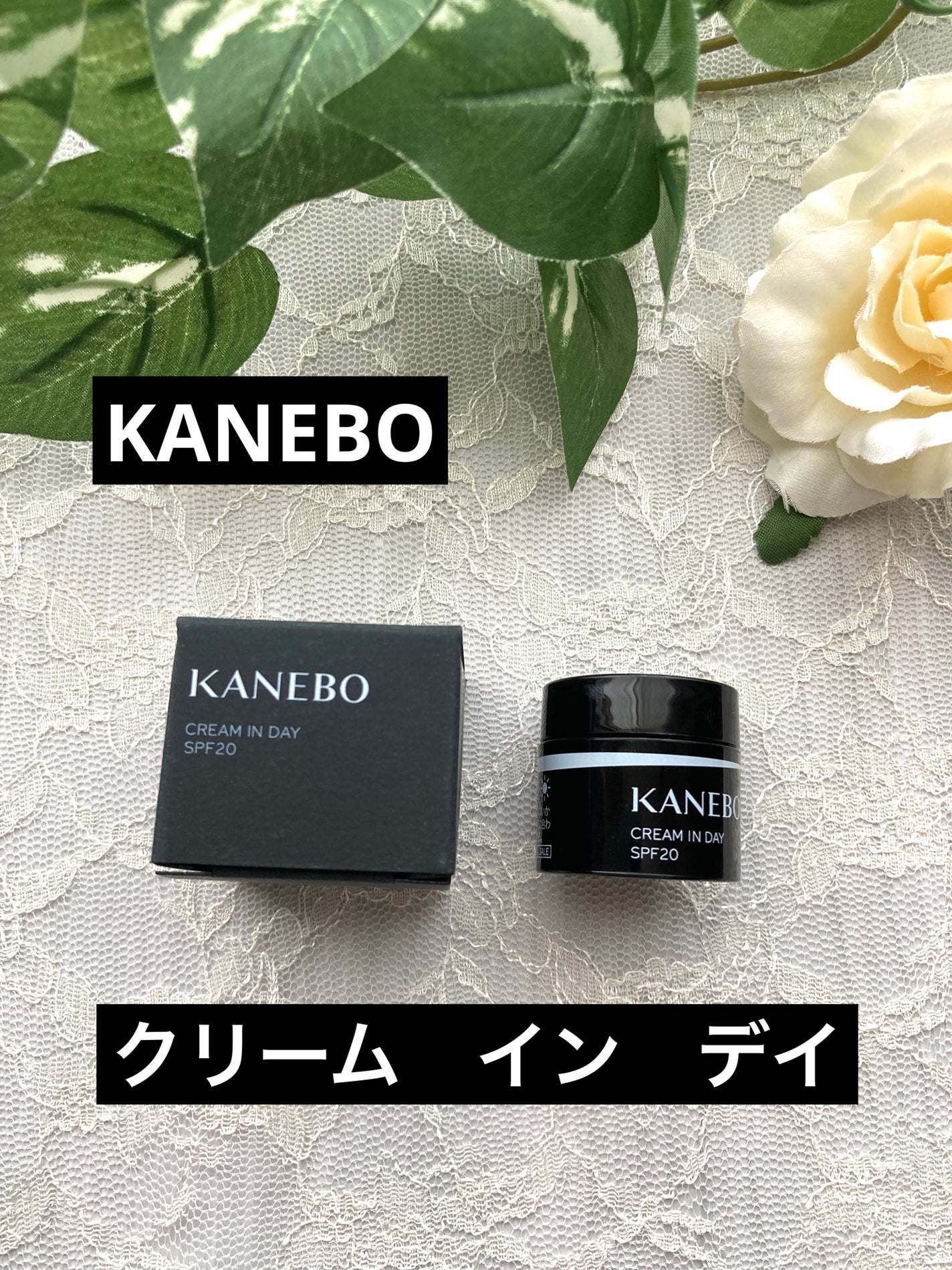 クリーム イン デイ/KANEBO/フェイスクリームを使ったクチコミ(1枚目)