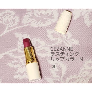 ラスティング リップカラーN/CEZANNE/口紅を使ったクチコミ（1枚目）