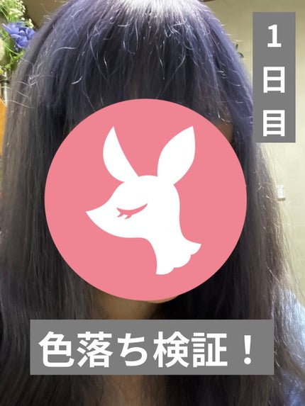 メイクアップカラー ベリーバイオレット/ビューティーン/ヘアカラーの画像