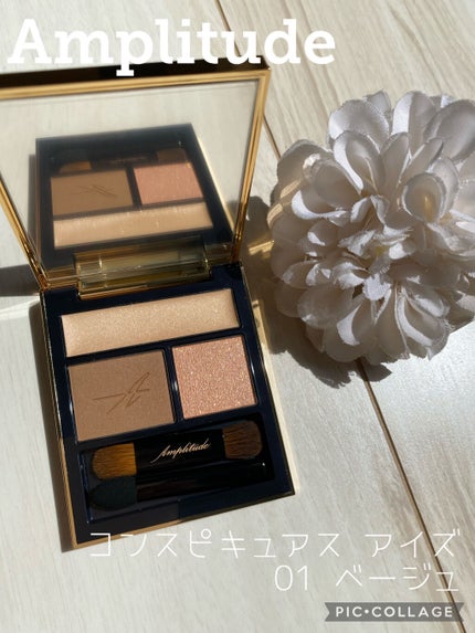 コンスピキュアス アイズ/Amplitude/アイシャドウパレットを使ったクチコミ(1枚目)