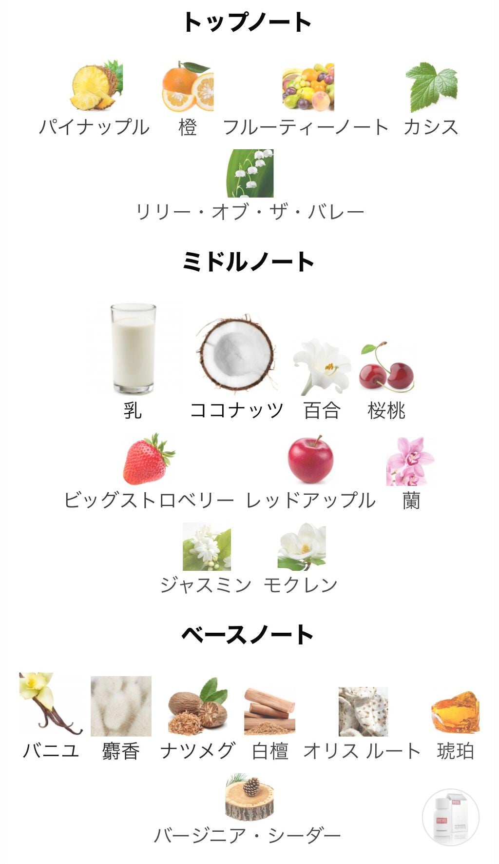 Plus Plus FEMININE/DIESEL/香水(レディース)を使ったクチコミ(4枚目)