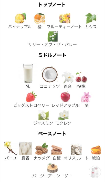 Plus Plus FEMININE/DIESEL/香水(レディース)を使ったクチコミ(4枚目)