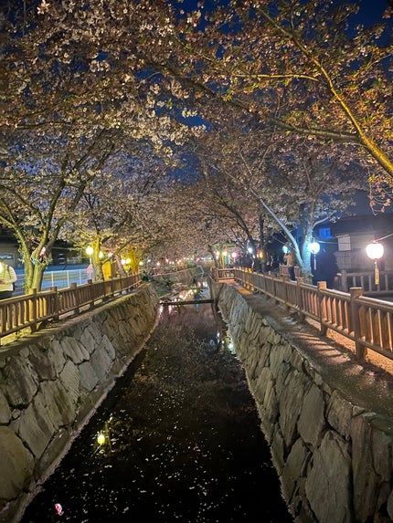 ジェルネイルシール/ZINIPIN/ネイルシールを使ったクチコミ(7枚目)