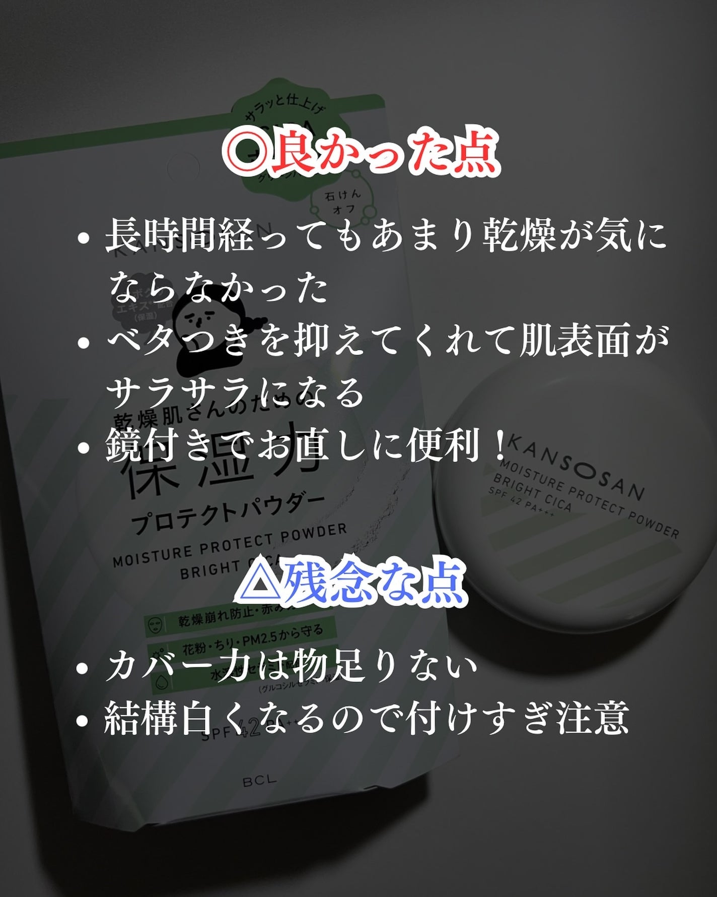 保湿力プロテクトパウダー ブライトシカ/乾燥さん/プレストパウダーを使ったクチコミ(6枚目)