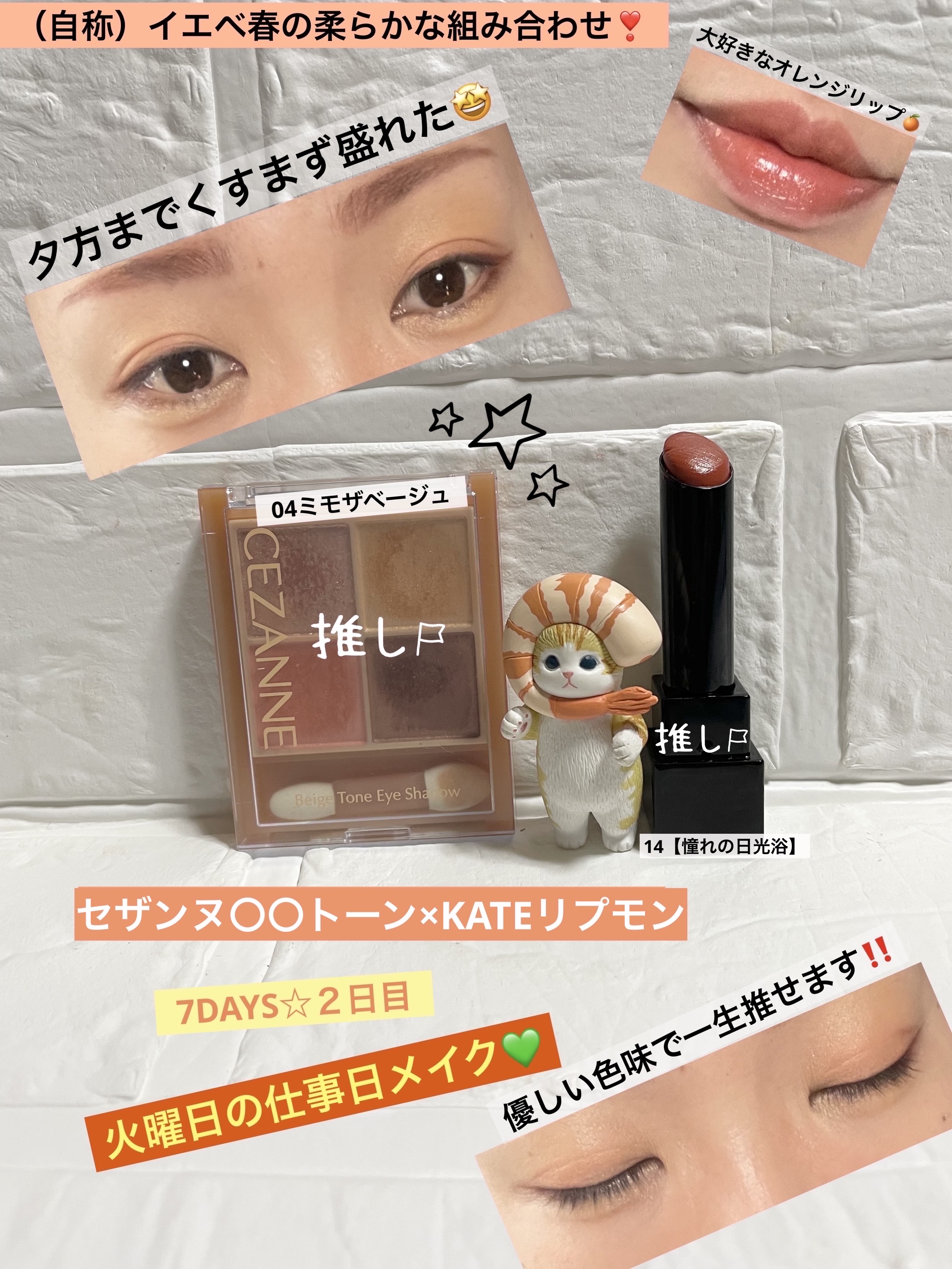 ベージュトーンアイシャドウ/CEZANNE/アイシャドウパレットを使ったクチコミ（1枚目）