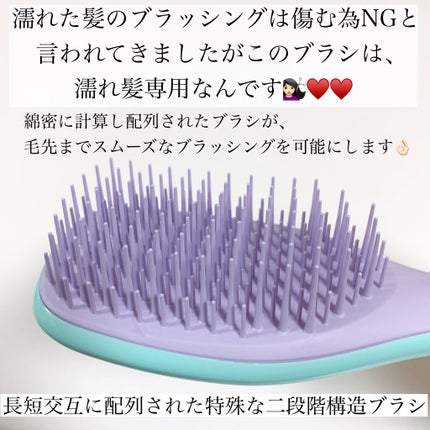 タングルティーザー ザ・アルティメットディタングラー/TANGLE TEEZER/ヘアブラシを使ったクチコミ(2枚目)