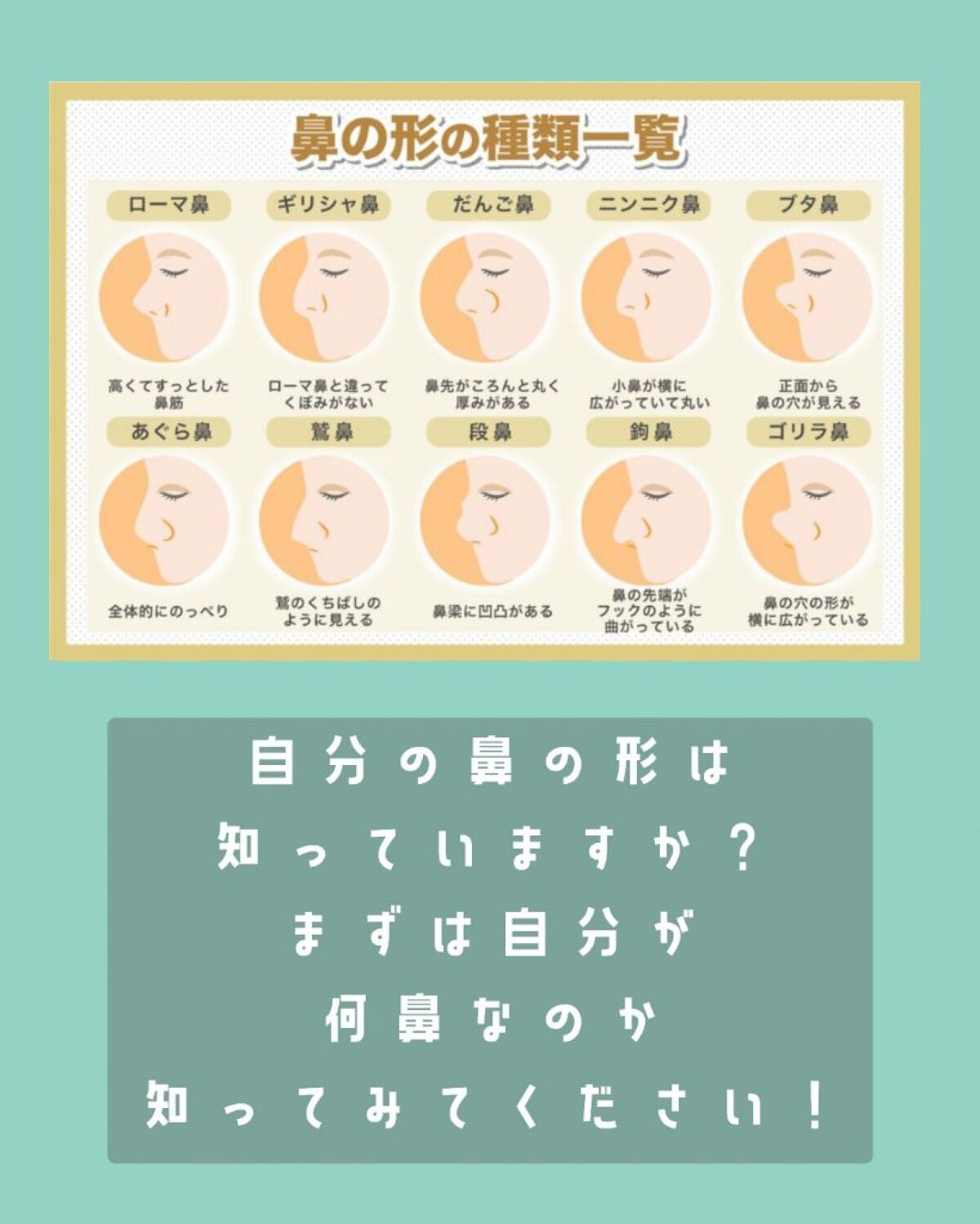 シェーディングパウダー/キャンメイク/シェーディングを使ったクチコミ(2枚目)