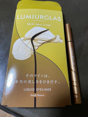 スキルレスライナー/LUMIURGLAS/リキッドアイライナーを使ったクチコミ（1枚目）