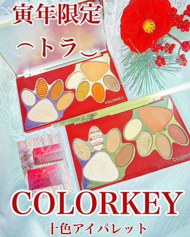 トラ十色アイシャドウパレット/COLORKEY/アイシャドウパレットを使ったクチコミ（1枚目）