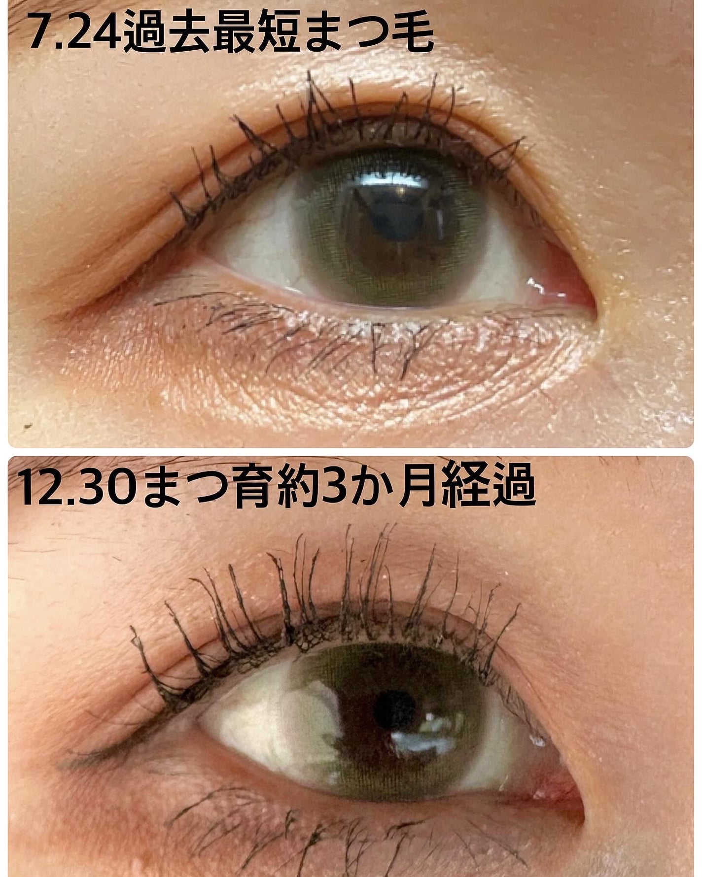 EGUTAM エグータム/アルマダスタイル/まつげ美容液を使ったクチコミ(5枚目)