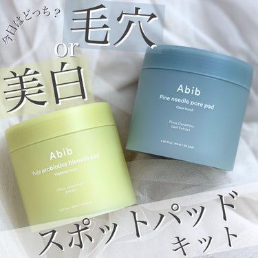 松葉ポアーパッド クリアタッチ/Abib /その他スキンケアを使ったクチコミ（1枚目）