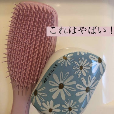 コンパクトスタイラー/TANGLE TEEZER/ヘアブラシを使ったクチコミ（1枚目）