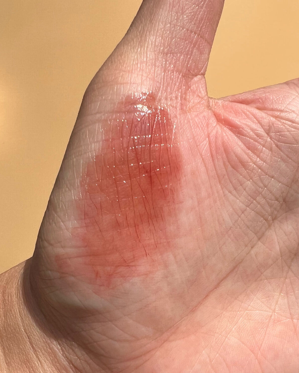 レブロン ダズル アイシャドウ クアッド/REVLON/アイシャドウパレットを使ったクチコミ（3枚目）