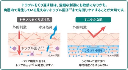 薬用CICAリペア クリーム/タイガレイド/フェイスクリームを使ったクチコミ(5枚目)