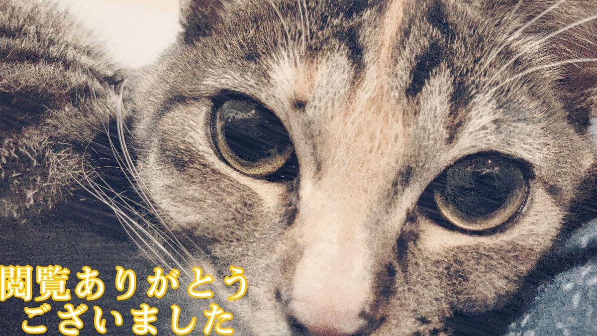 ジューシーパン スキンケアプライマー/A’pieu/化粧下地を使ったクチコミ(7枚目)