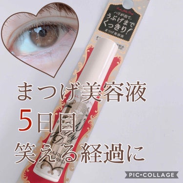 どら🦭🦭 on LIPS 「目の写真注意⚠️⚠️【まつげ美容液5日目の経過！比較写真】きい..」（1枚目）