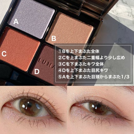 アイカラーレーション/LUNASOL/アイシャドウパレットを使ったクチコミ(2枚目)