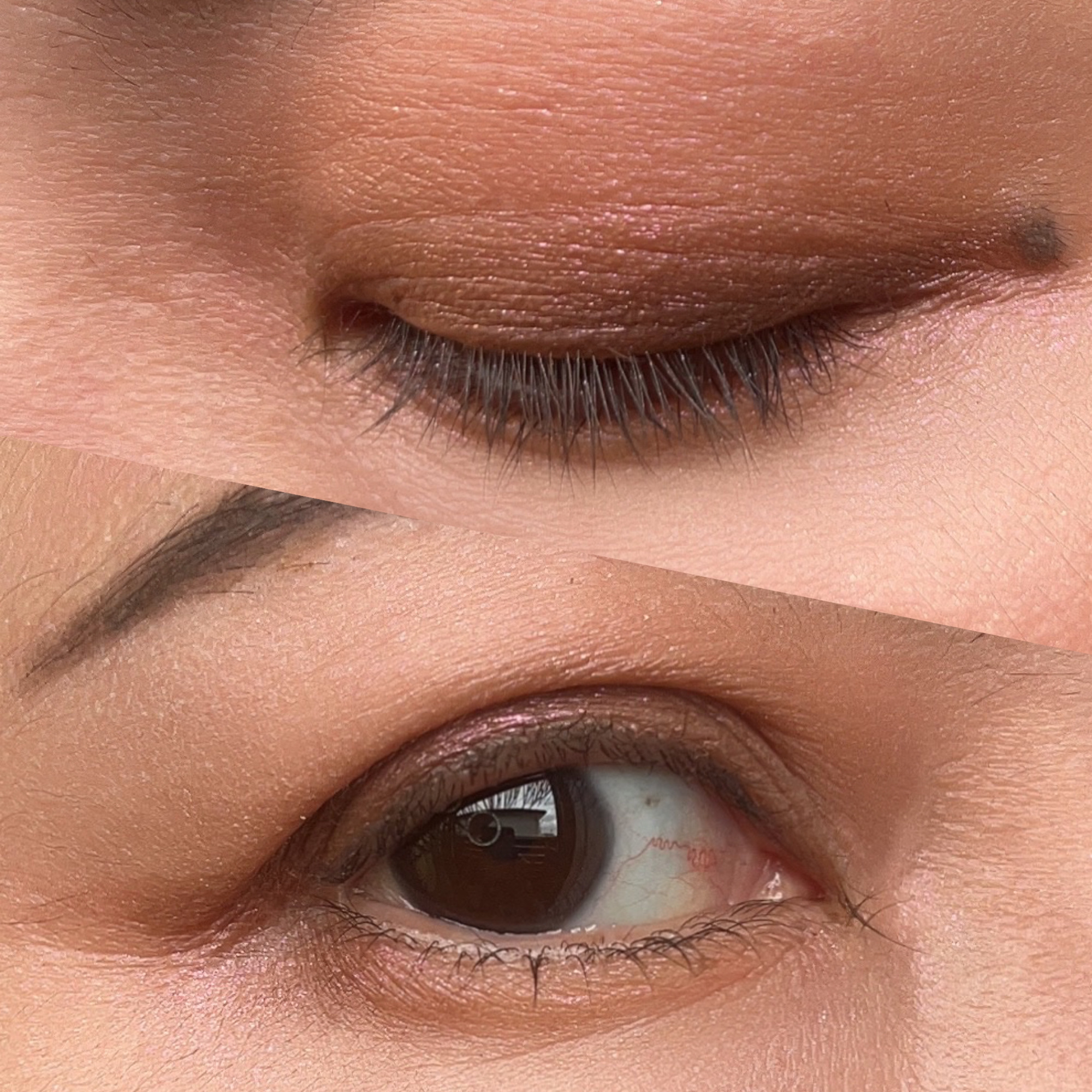 ラストブラッシュ/BBIA/パウダーチークを使ったクチコミ（2枚目）