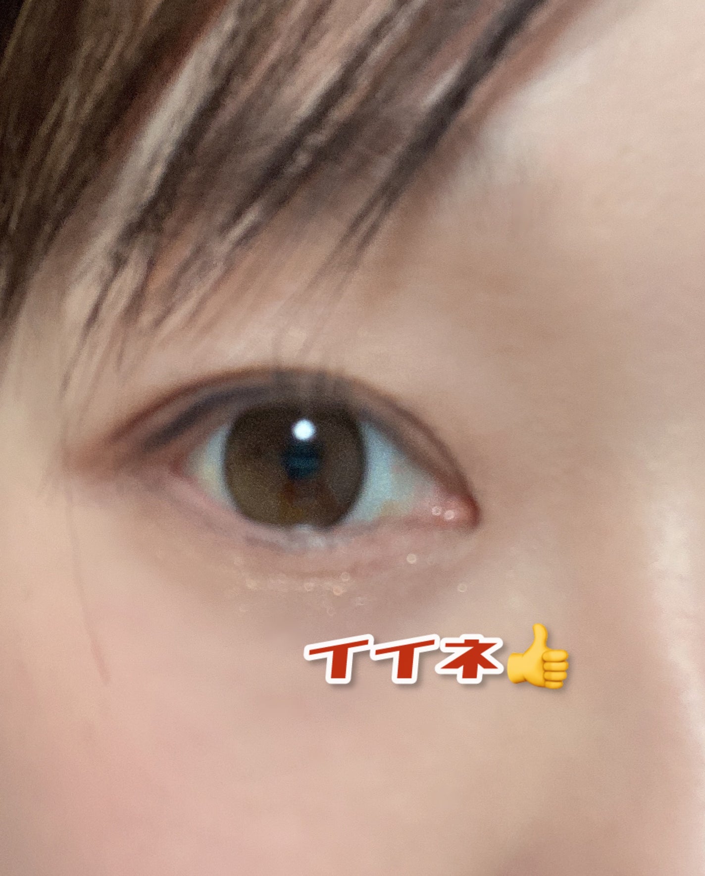 MOLAK 1day/MOLAK/ワンデー(1DAY)カラコンを使ったクチコミ(5枚目)