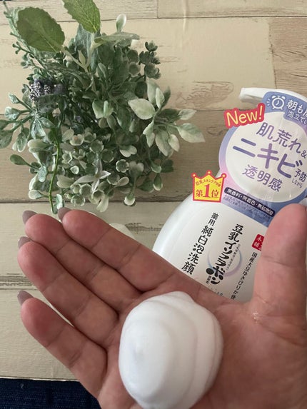 薬用泡洗顔/なめらか本舗/泡洗顔を使ったクチコミ(1枚目)