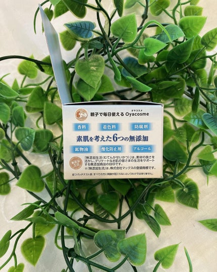 を使ったクチコミ(2枚目)