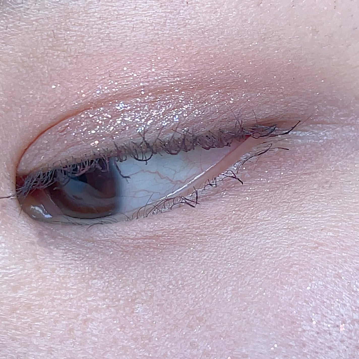 Venus Marble アイシャドウキャットシリーズ/Venus Marble/アイシャドウパレットを使ったクチコミ(6枚目)