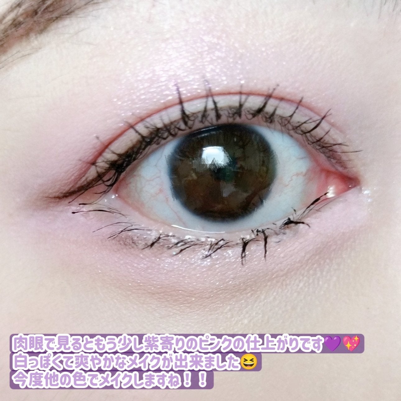 ムードシャドウパレット/dasique/アイシャドウパレットを使ったクチコミ(8枚目)