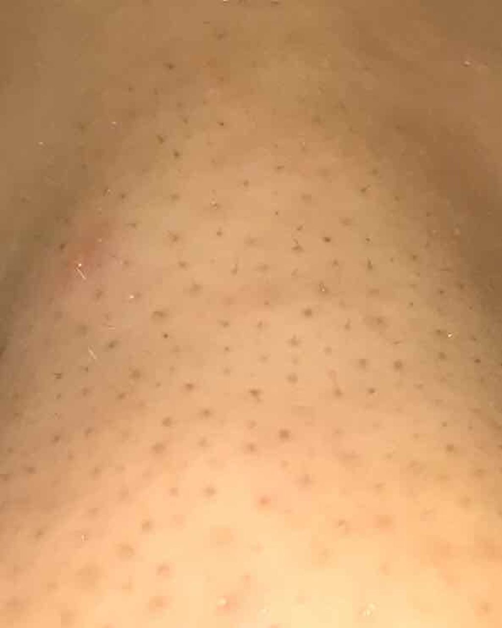 フェイシャル トリートメント クリア ローション/SK-II/化粧水を使ったクチコミ（2枚目）