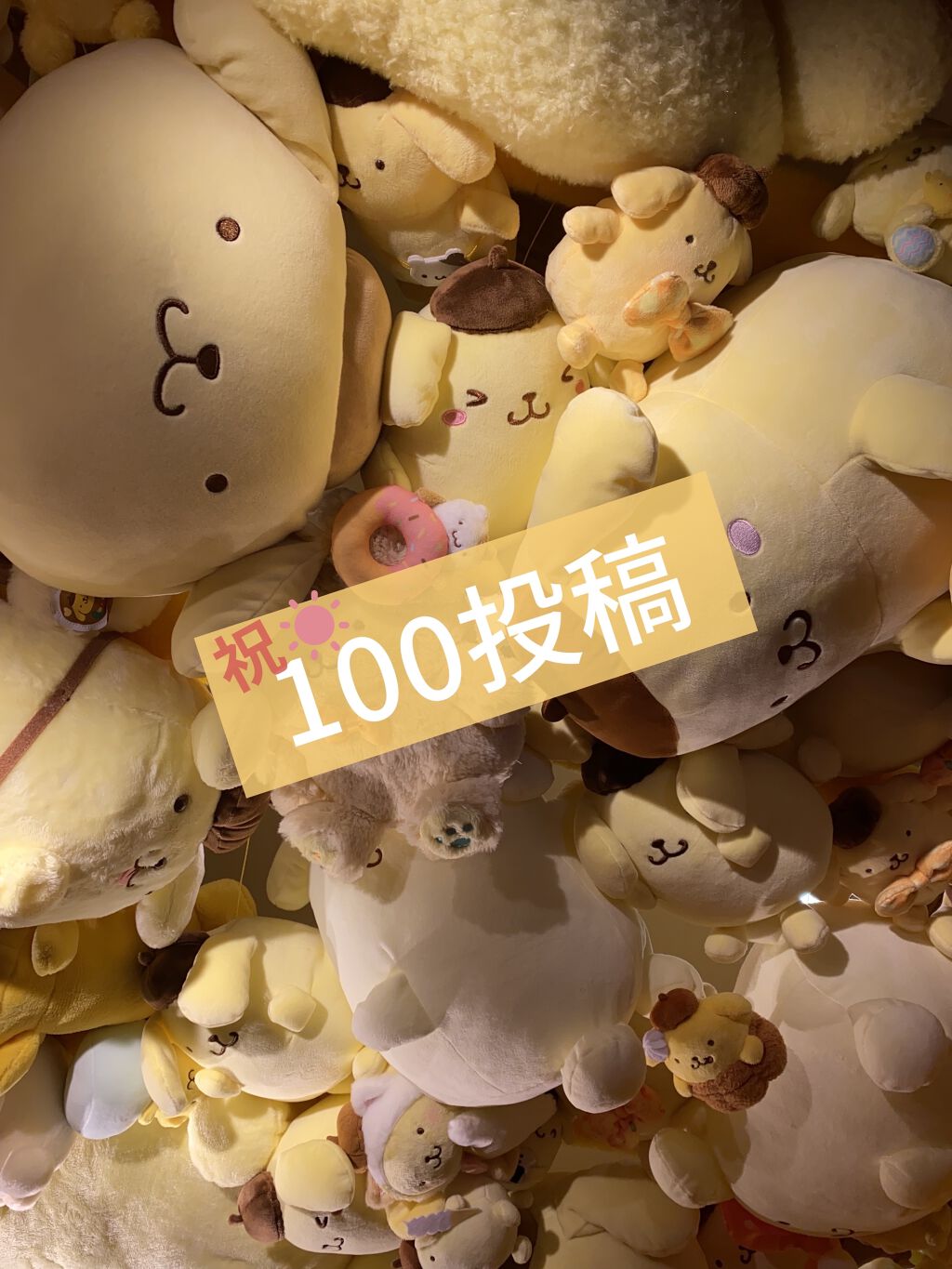 ノーセバム ミネラルパウダー/innisfree/ルースパウダーを使ったクチコミ（1枚目）