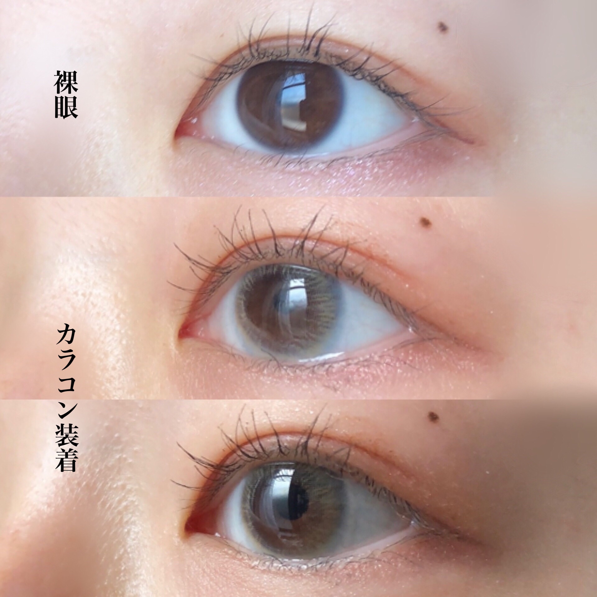 Haruhana Daisy Gray/otr/カラーコンタクトレンズを使ったクチコミ（3枚目）