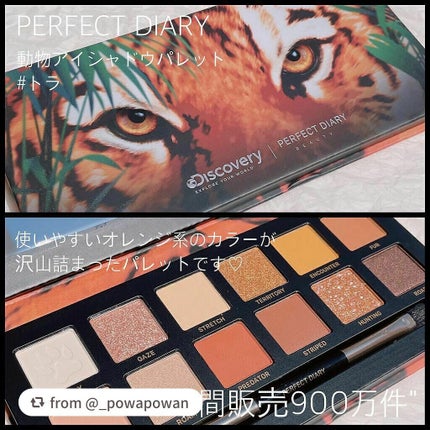 エクスプローラ12色 動物アイシャドウパレット/PERFECT DIARY/アイシャドウパレットを使ったクチコミ(1枚目)