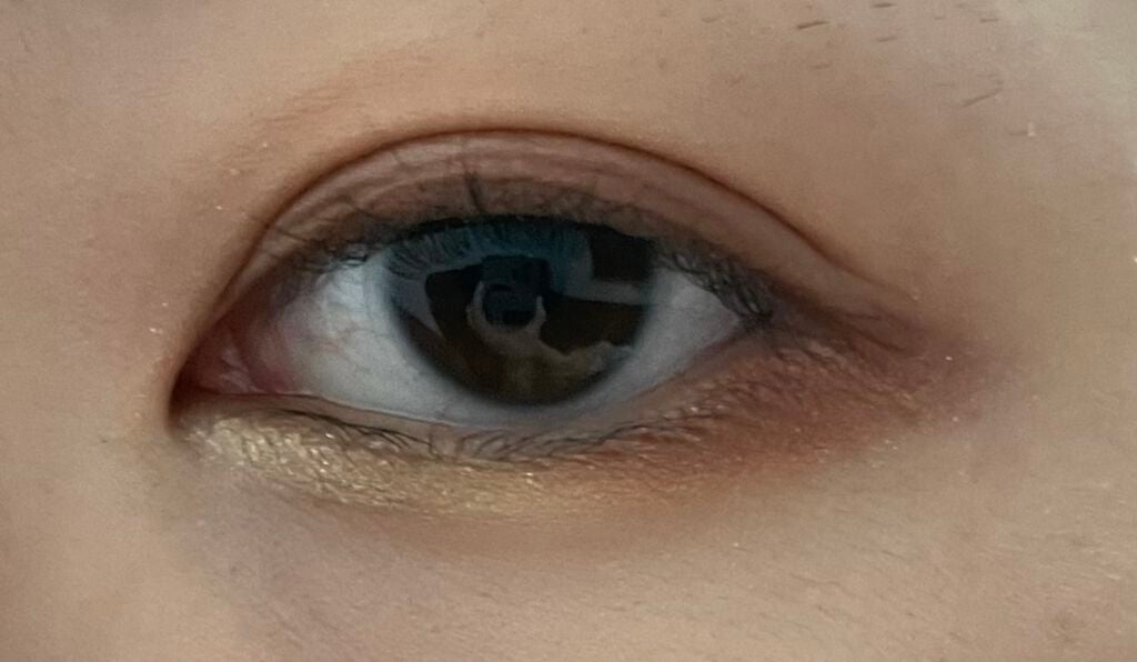 アイカラー CS/PAUL & JOE BEAUTE/アイシャドウパレットを使ったクチコミ(3枚目)