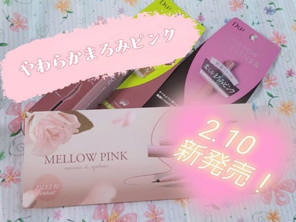 シルキーリキッドアイライナーWP/D-UP/リキッドアイライナーを使ったクチコミ(1枚目)