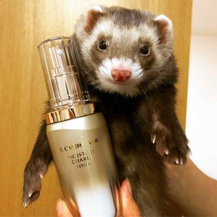 モイスチュア チャージ セラム/COVERMARK/美容液を使ったクチコミ(1枚目)