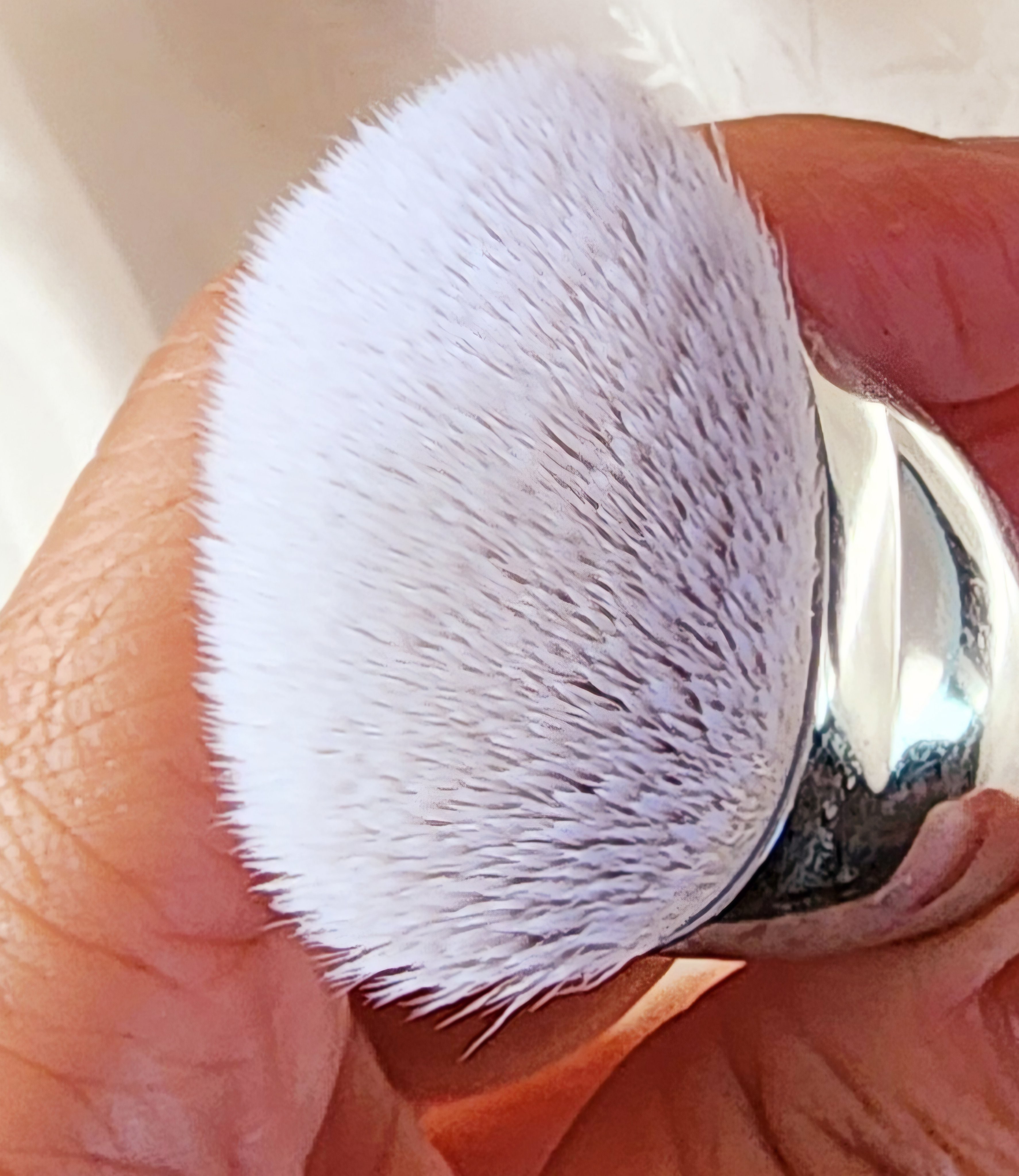 okhee Edge Eye Brush(NUN05)/SOOA DOR/メイクブラシを使ったクチコミ（2枚目）