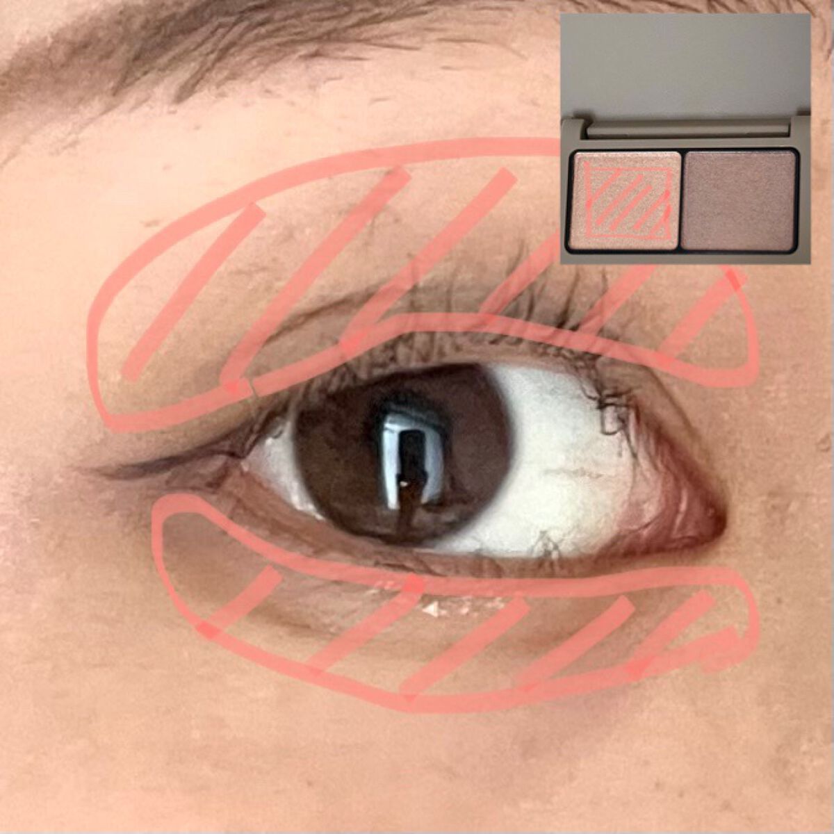 エテュセ アイエディション(カラーパレット) 06 グレージュ/ettusais/アイシャドウパレットを使ったクチコミ（3枚目）