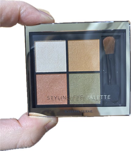 キスミー フェルム スタイリングアイパレット/キスミー フェルム/アイシャドウパレットを使ったクチコミ(1枚目)