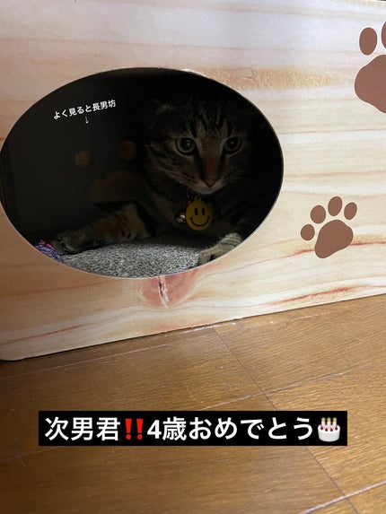 ケイト ポッピングシルエットシャドウ/KATE/アイシャドウパレットを使ったクチコミ(2枚目)