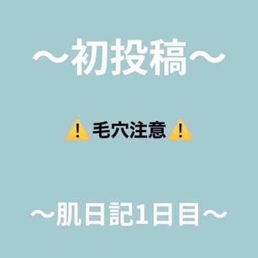 〜初投稿〜

ご覧いただきありがとうございます😄

LIPSでは主に私の肌日記として肌の調子や
今日したスキンケアなどを
投稿していこうと思います！

私の肌のタイプはインナードライよりの脂性肌です。（